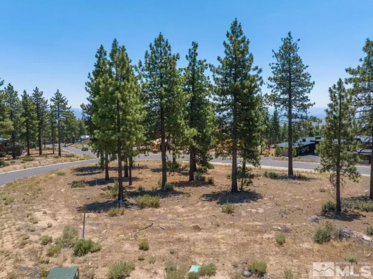 181 Tor Court, Carson City, Nevada 89705, ,Land,For Sale,Tor Court,240009917