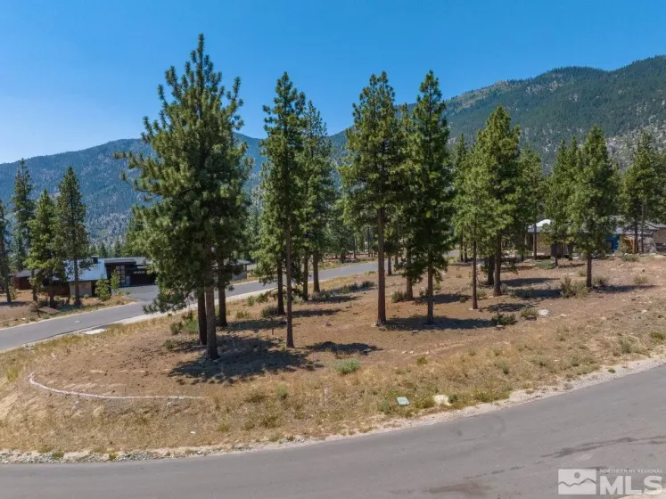 181 Tor Court, Carson City, Nevada 89705, ,Land,For Sale,Tor Court,240009917