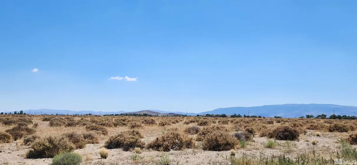 15-281-17 APN, Silver Springs, Nevada 89429, ,Land,For Sale,APN,250000125