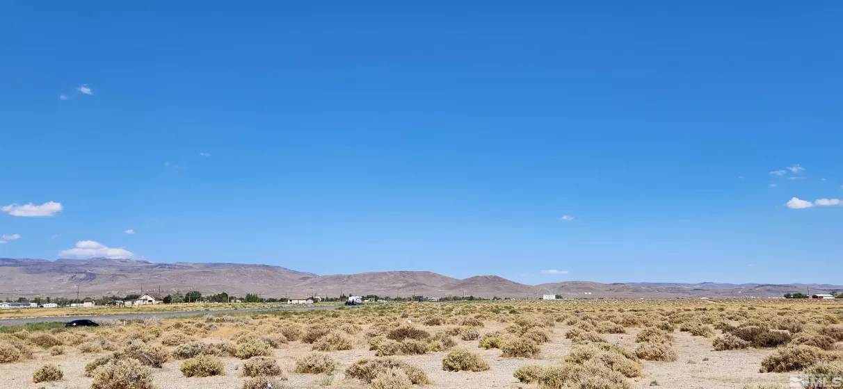 15-281-17 APN, Silver Springs, Nevada 89429, ,Land,For Sale,APN,250000125