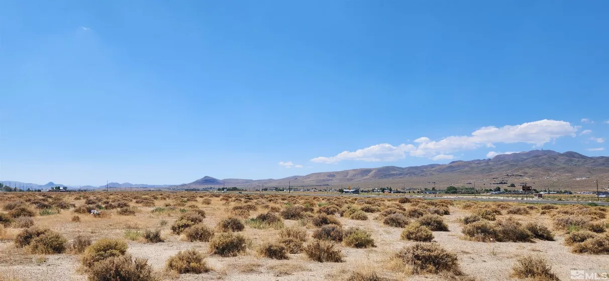 15-281-17 APN, Silver Springs, Nevada 89429, ,Land,For Sale,APN,250000125