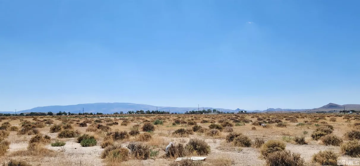 15-281-17 APN, Silver Springs, Nevada 89429, ,Land,For Sale,APN,250000125