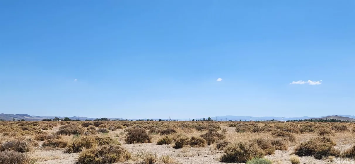 15-281-17 APN, Silver Springs, Nevada 89429, ,Land,For Sale,APN,250000125