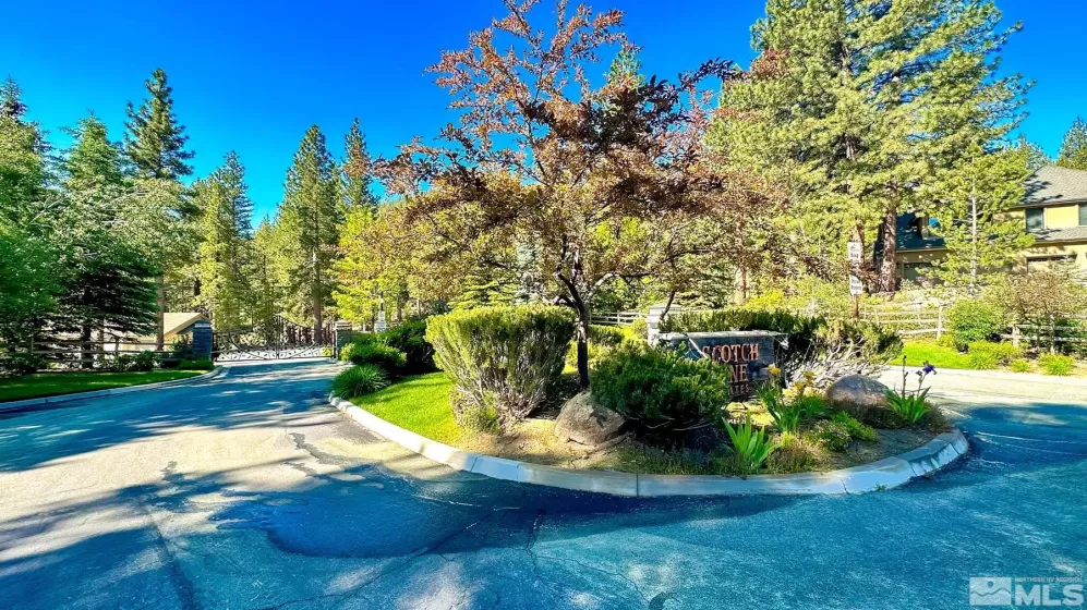 248 E Jeffrey Pine Rd, Reno, Nevada 89511, ,Land,For Sale,E Jeffrey Pine Rd,250000147