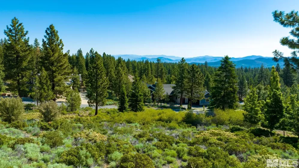 248 E Jeffrey Pine Rd, Reno, Nevada 89511, ,Land,For Sale,E Jeffrey Pine Rd,250000147