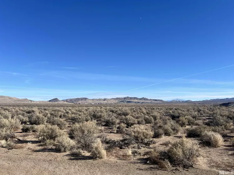 274 Mount Grant, Smith, Nevada 89430, ,Land,For Sale,Mount Grant,250000164