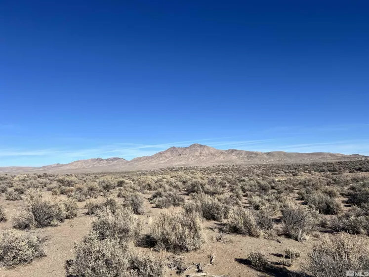 274 Mount Grant, Smith, Nevada 89430, ,Land,For Sale,Mount Grant,250000164