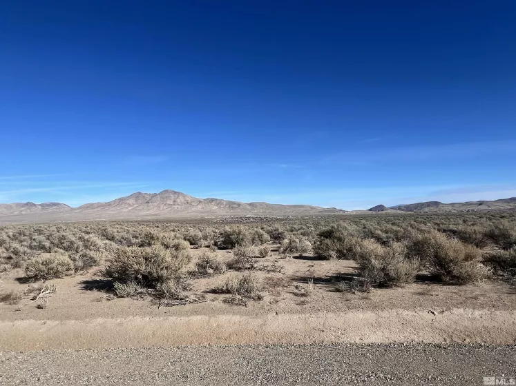 274 Mount Grant, Smith, Nevada 89430, ,Land,For Sale,Mount Grant,250000164