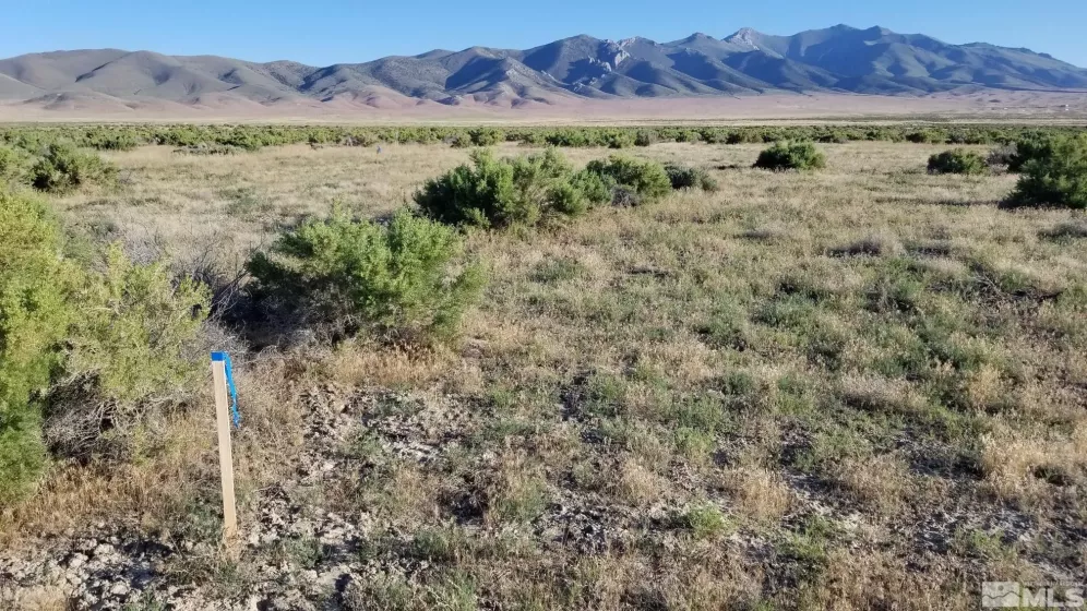 0082702X Star Peak Rd, Imlay, Nevada 89418, ,Land,For Sale,Star Peak Rd,250000168