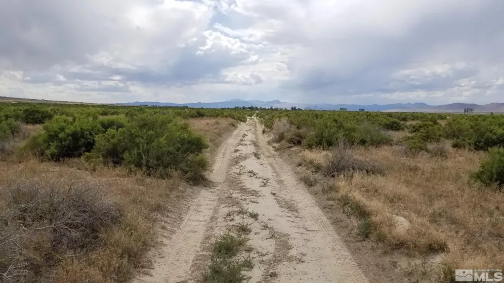 0082702X Star Peak Rd, Imlay, Nevada 89418, ,Land,For Sale,Star Peak Rd,250000168