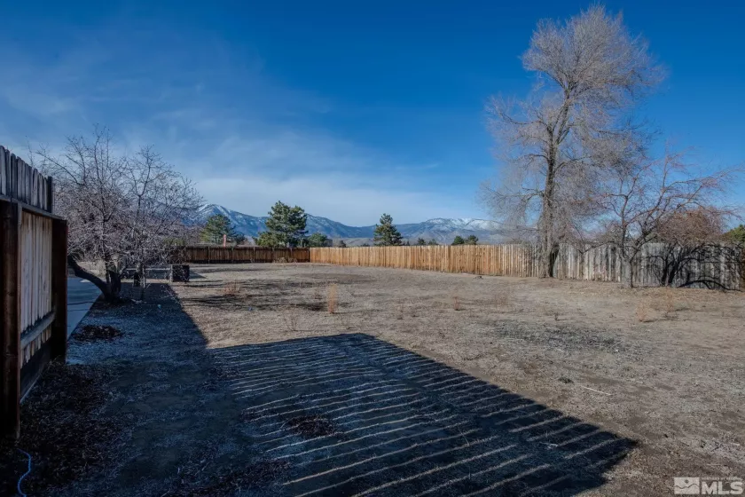 1374 Sanden, Minden, Nevada 89423, 3 Bedrooms Bedrooms, ,2 BathroomsBathrooms,Residential,For Sale,Sanden,250000178