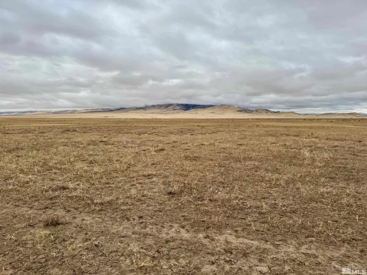 00849007 Dun Glen-Star City Rd, Imlay, Nevada 89418, ,Land,For Sale,Dun Glen-Star City Rd,250000183