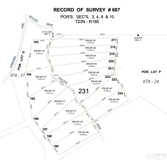 16400 Fetlock Dr, Reno, Nevada 89508, ,Land,For Sale,Fetlock Dr,250000194