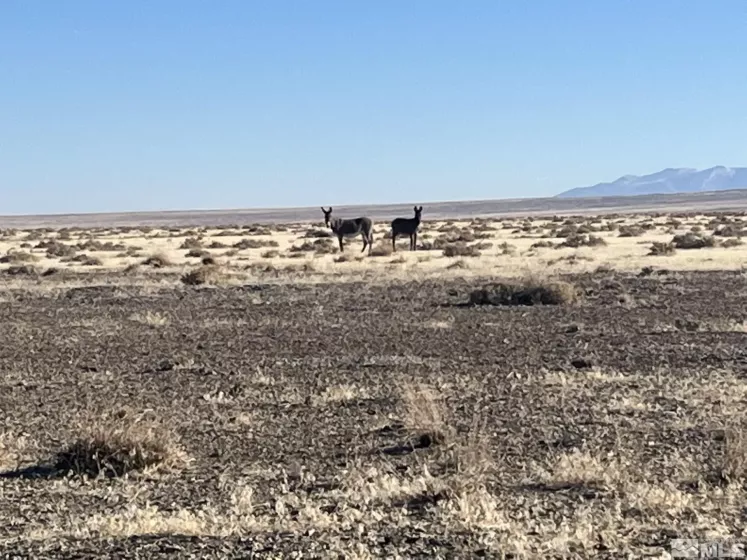 T29 R29 Sec 9, Lovelock, Nevada 89419, ,Land,For Sale,R29 Sec 9,230007618