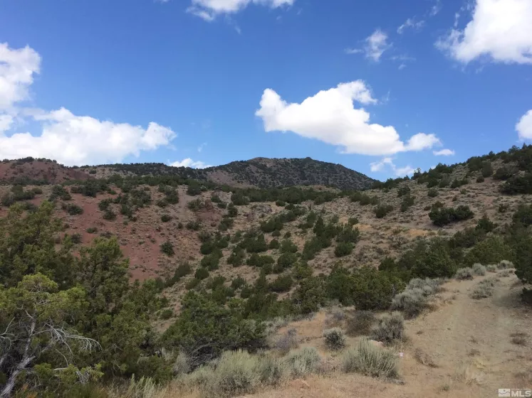 2300 Piute Creek Road, Reno, Nevada 89510, ,Land,For Sale,Piute Creek Road,240000135