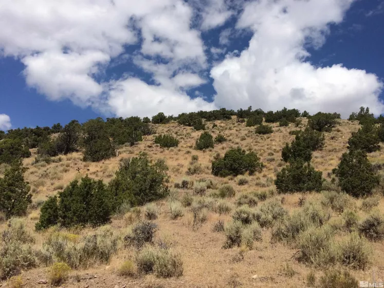 2300 Piute Creek Road, Reno, Nevada 89510, ,Land,For Sale,Piute Creek Road,240000135