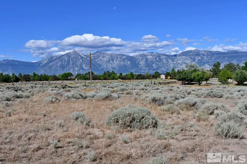 1770 Amber Way, Gardnerville, Nevada 89410, ,Land,For Sale,Amber Way,240007978