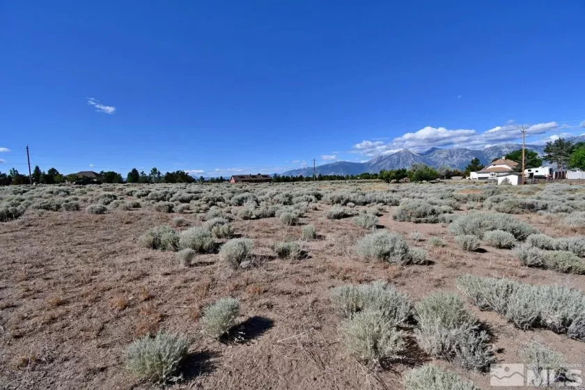 1770 Amber Way, Gardnerville, Nevada 89410, ,Land,For Sale,Amber Way,240007978