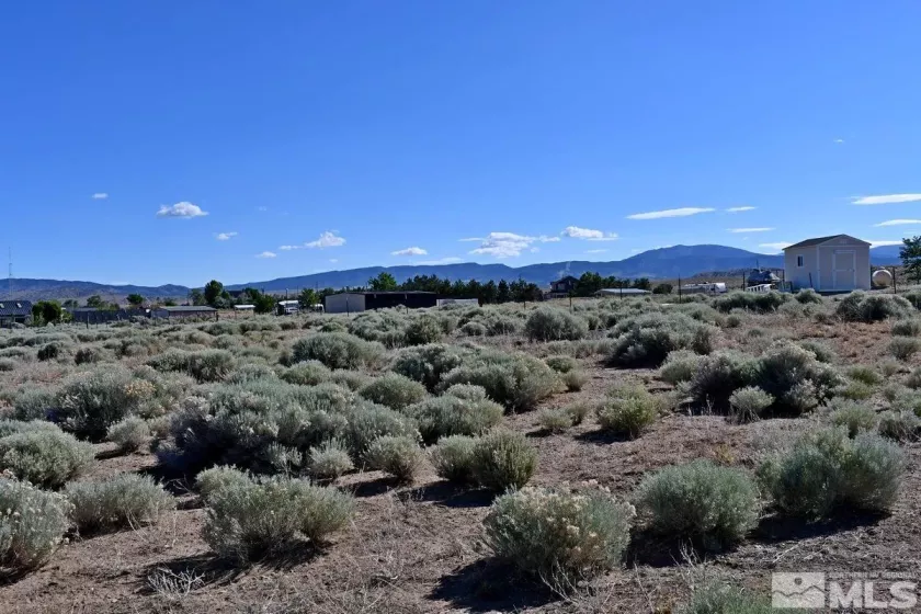 1770 Amber Way, Gardnerville, Nevada 89410, ,Land,For Sale,Amber Way,240007978