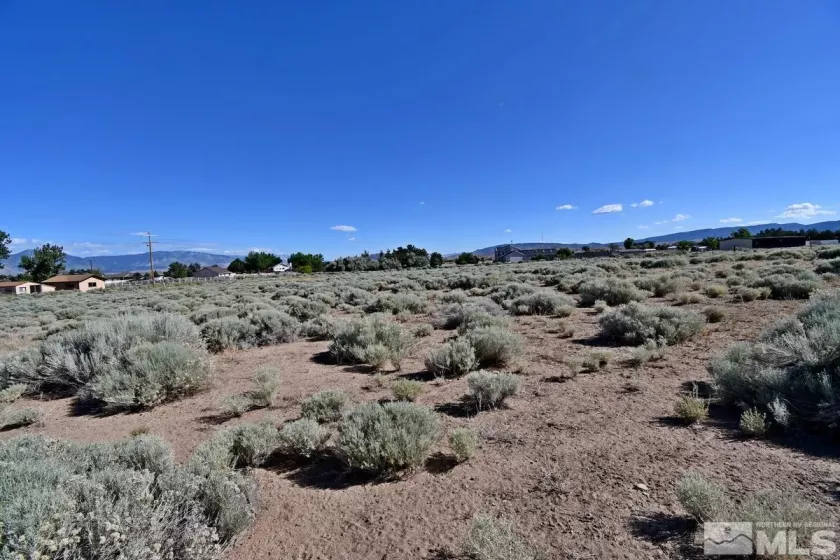 1770 Amber Way, Gardnerville, Nevada 89410, ,Land,For Sale,Amber Way,240007978