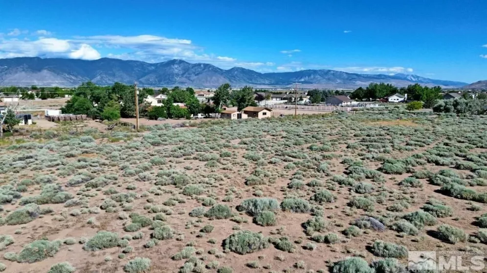 1770 Amber Way, Gardnerville, Nevada 89410, ,Land,For Sale,Amber Way,240007978