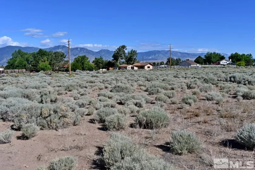 1770 Amber Way, Gardnerville, Nevada 89410, ,Land,For Sale,Amber Way,240007978