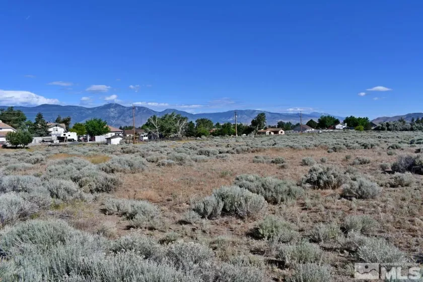 1770 Amber Way, Gardnerville, Nevada 89410, ,Land,For Sale,Amber Way,240007978