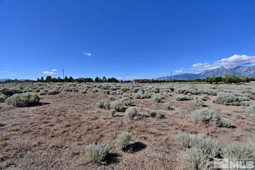 1770 Amber Way, Gardnerville, Nevada 89410, ,Land,For Sale,Amber Way,240007978