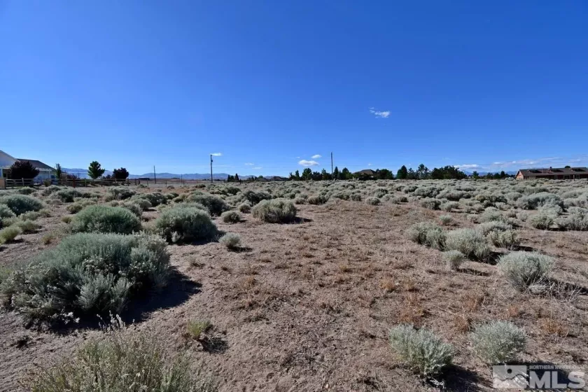 1770 Amber Way, Gardnerville, Nevada 89410, ,Land,For Sale,Amber Way,240007978