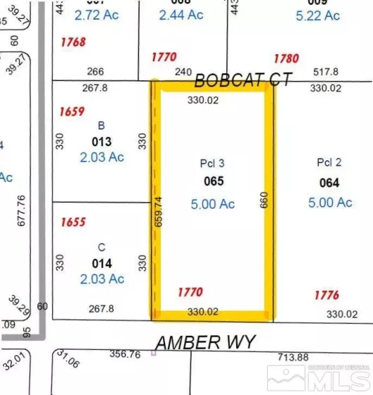 1770 Amber Way, Gardnerville, Nevada 89410, ,Land,For Sale,Amber Way,240007978