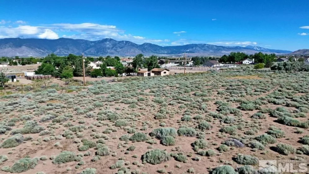 1770 Amber Way, Gardnerville, Nevada 89410, ,Land,For Sale,Amber Way,240007978