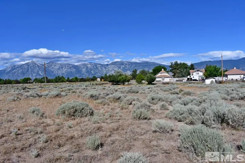 1770 Amber Way, Gardnerville, Nevada 89410, ,Land,For Sale,Amber Way,240007978