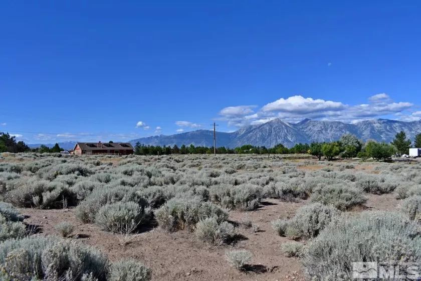 1770 Amber Way, Gardnerville, Nevada 89410, ,Land,For Sale,Amber Way,240007978