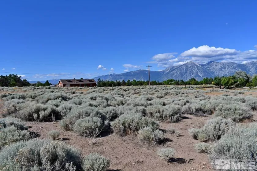 1770 Amber Way, Gardnerville, Nevada 89410, ,Land,For Sale,Amber Way,240007978