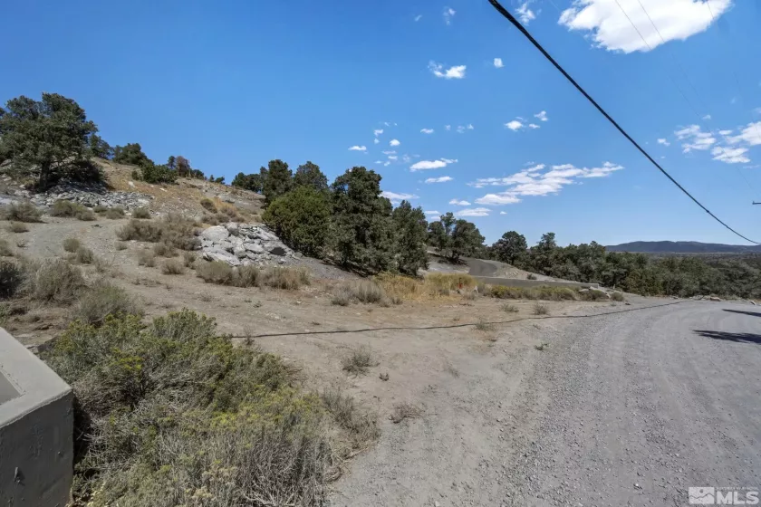 21490 Sazarac Rd, Reno, Nevada 89521, ,Land,For Sale,Sazarac Rd,250000251