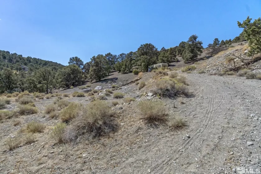 21490 Sazarac Rd, Reno, Nevada 89521, ,Land,For Sale,Sazarac Rd,250000251