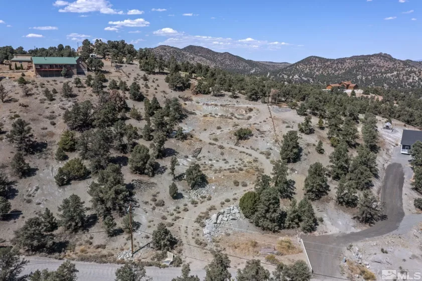 21490 Sazarac Rd, Reno, Nevada 89521, ,Land,For Sale,Sazarac Rd,250000251