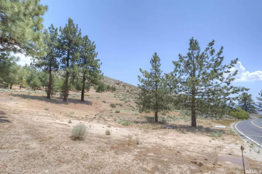 4324 Combs Canyon Rd., Carson City, Nevada 89703, ,Land,For Sale,Combs Canyon Rd.,230004966