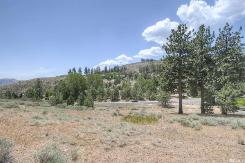 4324 Combs Canyon Rd., Carson City, Nevada 89703, ,Land,For Sale,Combs Canyon Rd.,230004966