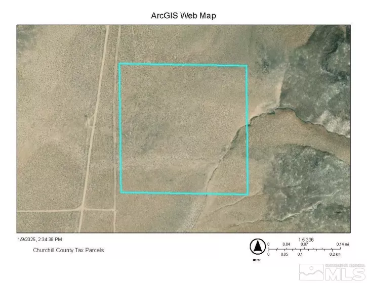 APN 00614304, Fallon, Nevada 89406, ,Land,For Sale,00614304,250000384