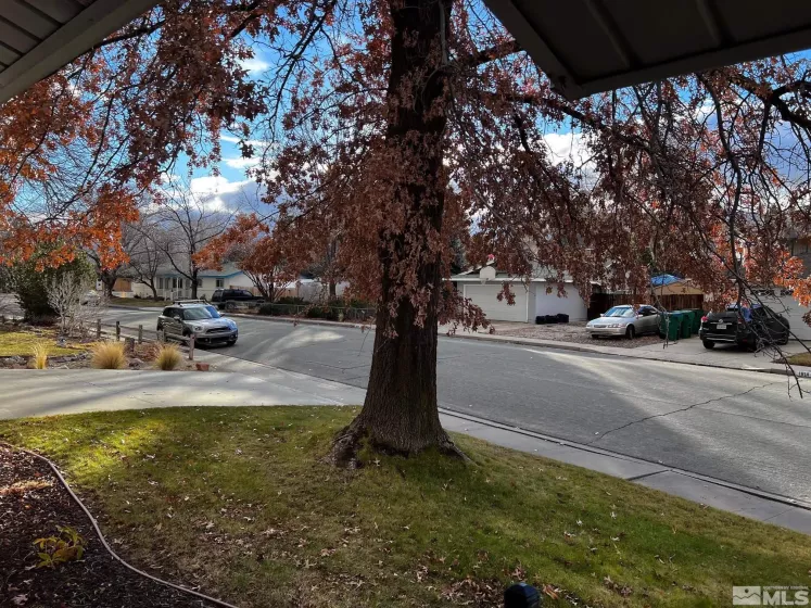 1815 Rand Ave., Carson City, Nevada 89706, 3 Bedrooms Bedrooms, ,2 BathroomsBathrooms,Residential,For Sale,Rand Ave.,250000409