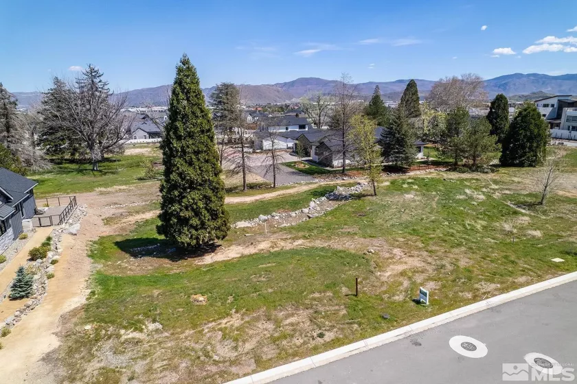 6158 Falabella Way, Reno, Nevada 89511, ,Land,For Sale,Falabella Way,250000418