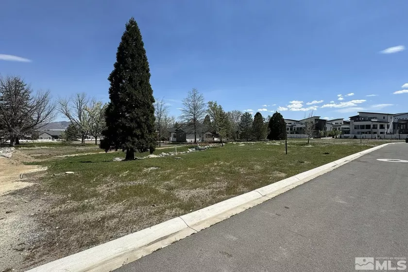 6158 Falabella Way, Reno, Nevada 89511, ,Land,For Sale,Falabella Way,250000418