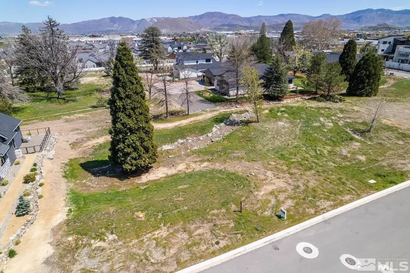 6158 Falabella Way, Reno, Nevada 89511, ,Land,For Sale,Falabella Way,250000418