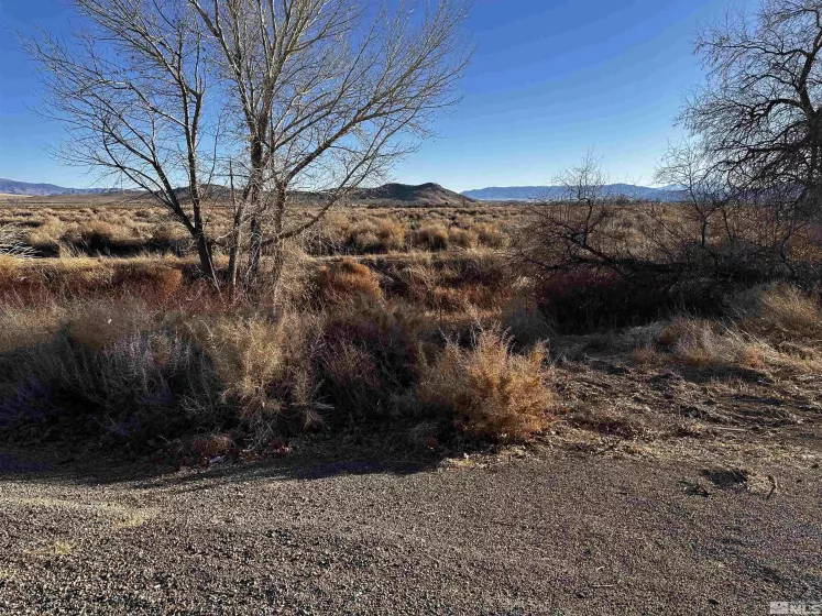 0 Hwy95A, Yerington, Nevada 89447, ,Land,For Sale,Hwy95A,250000431