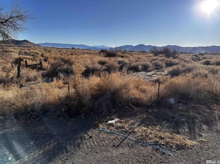 0 Hwy95A, Yerington, Nevada 89447, ,Land,For Sale,Hwy95A,250000431