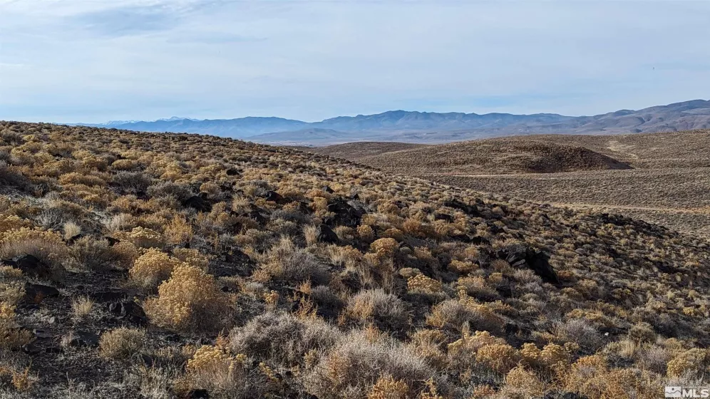 0000 Lahontan Rd, Silver Springs, Nevada 89429, ,Land,For Sale,Lahontan Rd,250000454