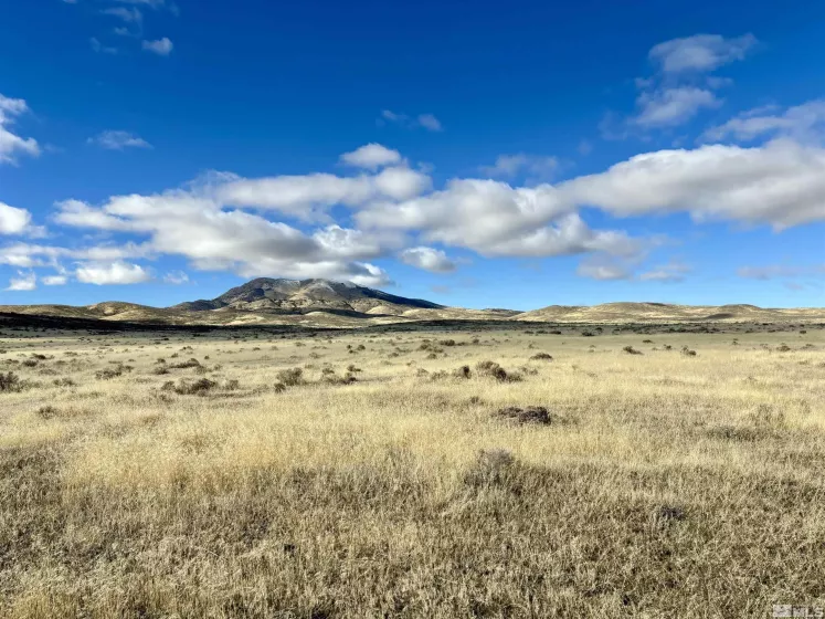 41.93 Acres Sierra Pass Rd, Winnemucca, Nevada 89445, ,Land,For Sale,Sierra Pass Rd,250000463