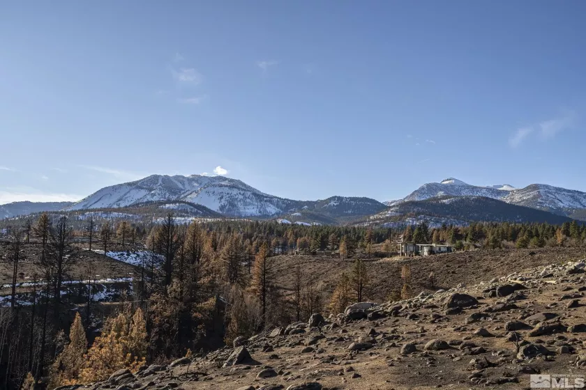 229 Earlham Court, Reno, Nevada 89511, ,Land,For Sale,Earlham Court,250000271