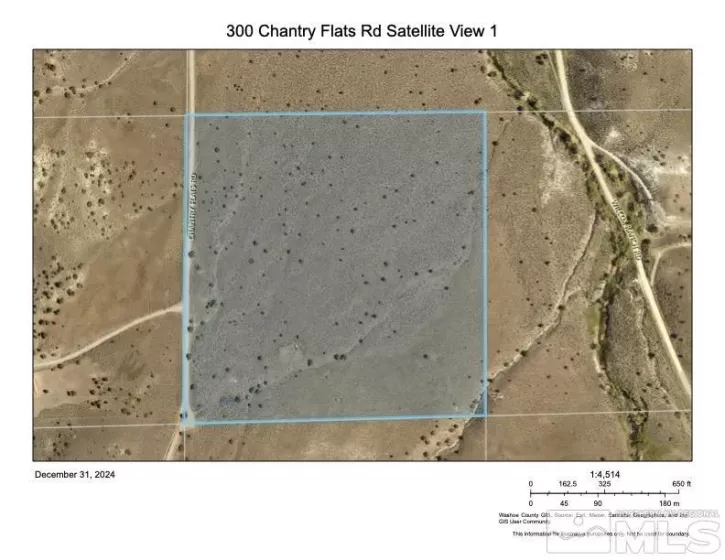 300 Chantry Flats Rd, Reno, Nevada 89510, ,Land,For Sale,Chantry Flats Rd,250000283